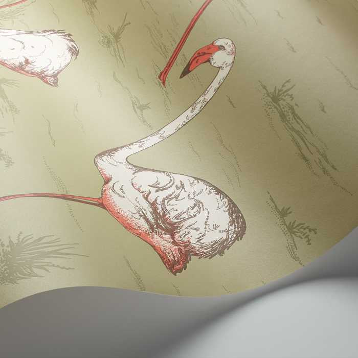 Cole & Son Icons Flamingos 112/11038 Behang