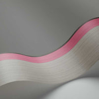 Cole & Son Marquee Stripes Jaspe Border 110/10050