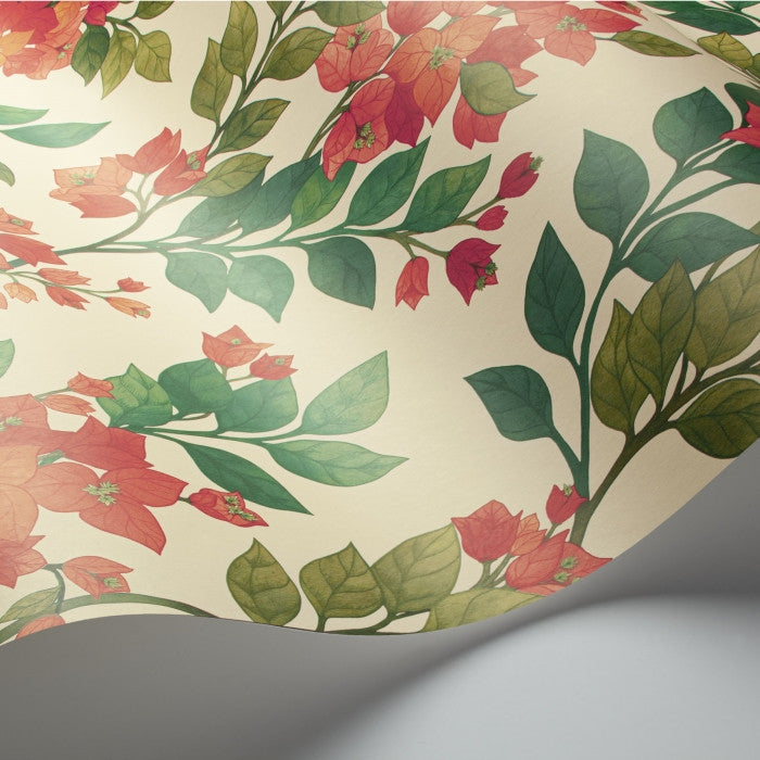 Cole & Son Seville Bougainvillea 117/6016