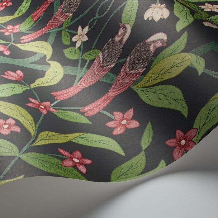 Cole & Son Seville Jasmine & Serin Symphony 117/10028