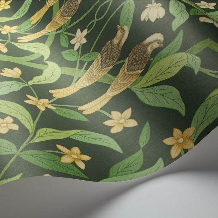 Cole & Son Seville Jasmine & Serin Symphony 117/10029