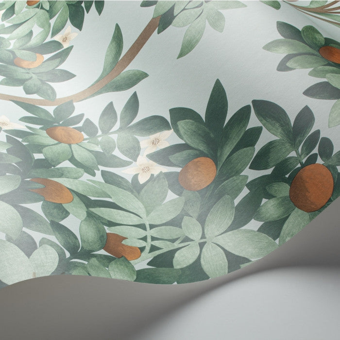 Cole & Son Seville Orange Blossom 117/1004