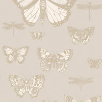 Cole & Son Papillons Fantaisistes & Libellules 103/15064
