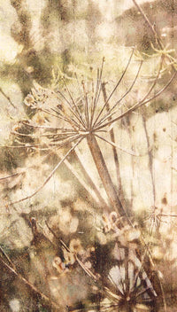 Eijffinger Wallpower Favourites 309022