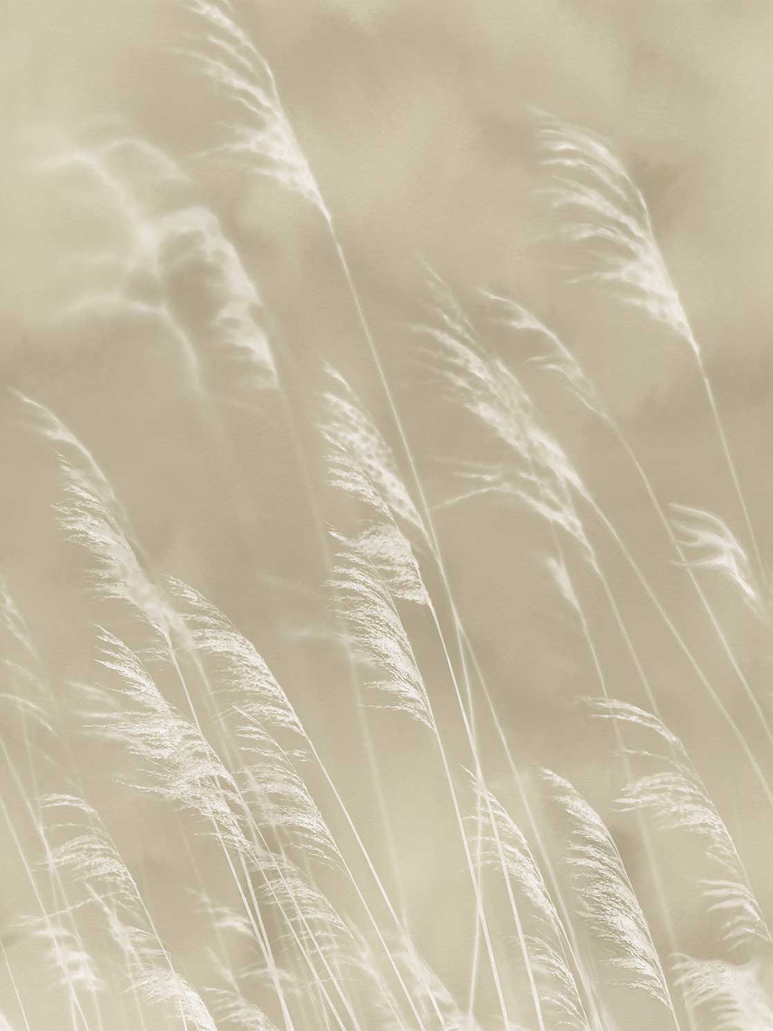 Eijffinger Waterfront 300900 Behang