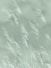 Eijffinger Waterfront 300901