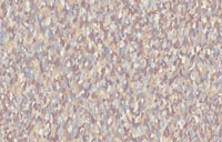 Hooked on Walls Academy Blumen 25652