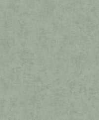 Hooked on Walls Affinity Plain AF24503