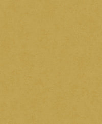 Hooked on Walls Affinity Plain AF24505