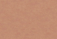 Hooked on Walls Caribbean Plain 27283