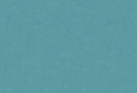 Hooked on Walls Caribbean Plain 27289