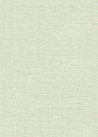 Hooked on Walls Culture Club Straw 14619