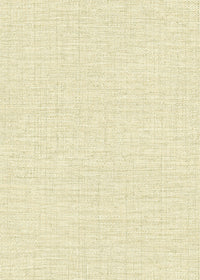 Hooked on Walls Culture Club Straw 14620