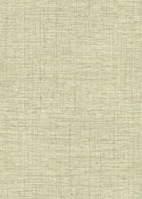 Hooked on Walls Culture Club Straw 14621