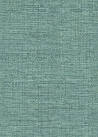 Hooked on Walls Culture Club Straw 14622