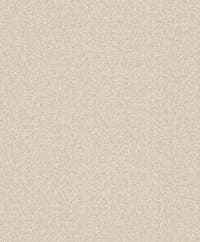 Hooked on Walls Fragments plain 3 43223