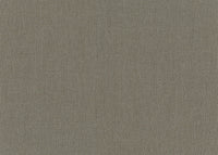 Hooked on Walls Lemuria Baobab 60633