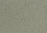 Hooked on Walls Lemuria Baobab 60634