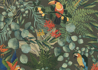 Hooked on Walls Lemuria Parrot 60623