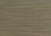 Hooked on Walls Lemuria Unito Rafia 60667