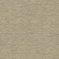 Hooked on Walls Leopard Walk Jomon 15308