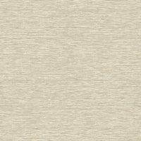 Hooked on Walls Leopard Walk Jomon 15309