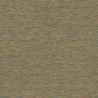 Hooked on Walls Leopard Walk Jomon 15312