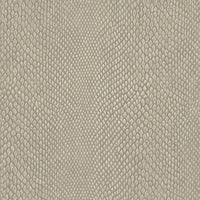 Hooked on Walls Leopard Walk Naja 15332