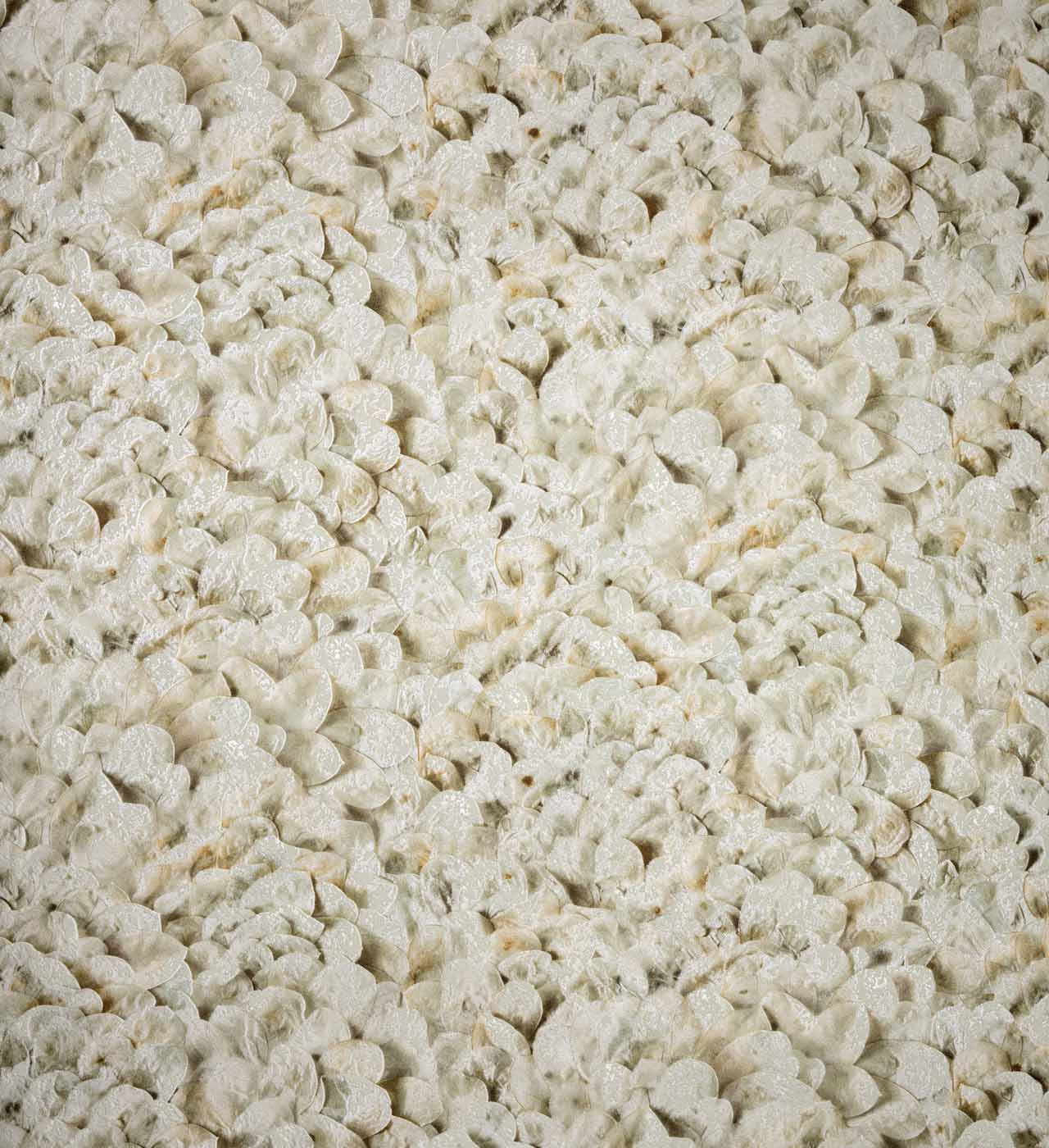 Hooked on Walls Liaison Lunaria 46310 Behang