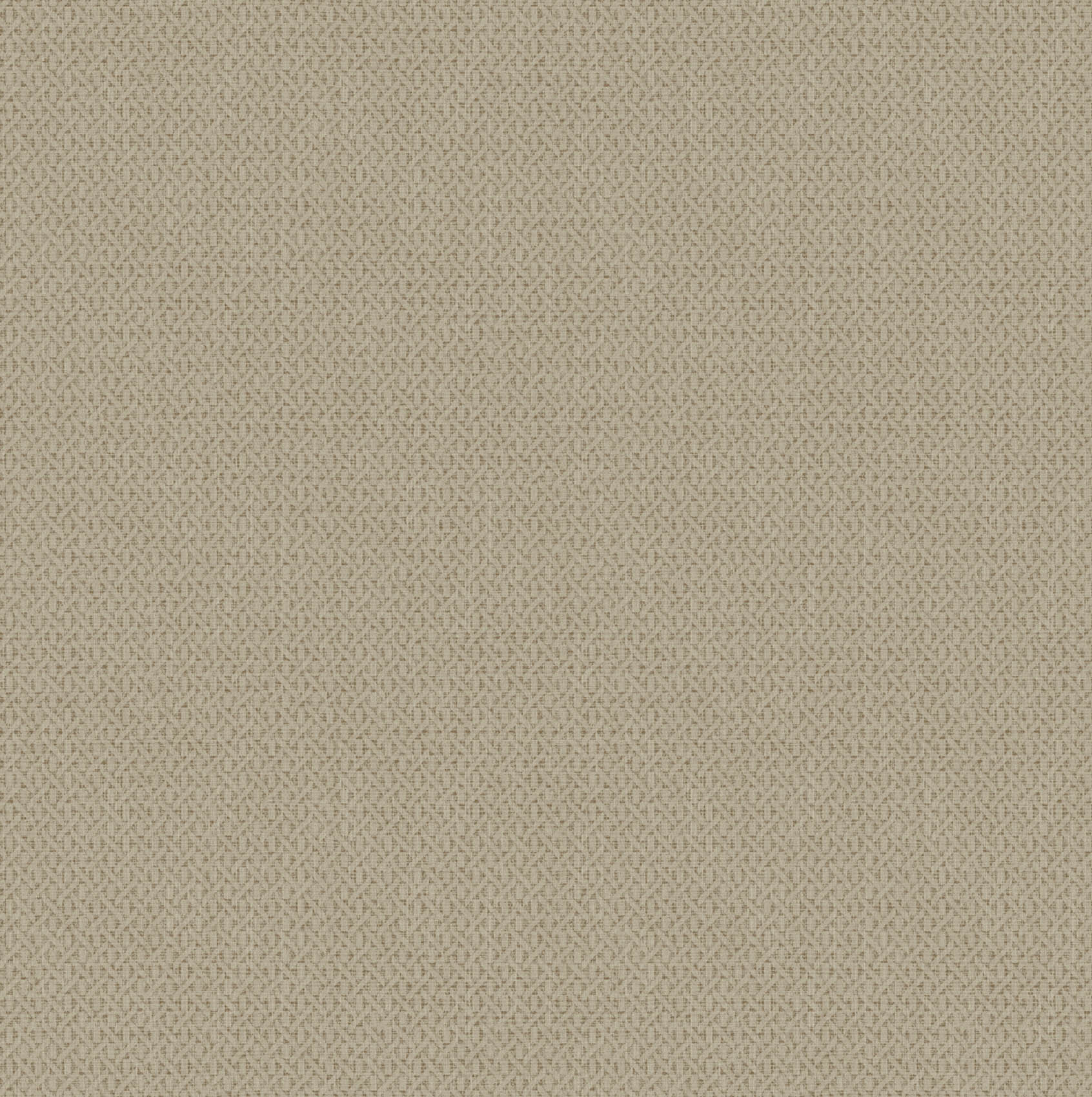 Hooked on Walls Natural Chic Roma 32642 Behang