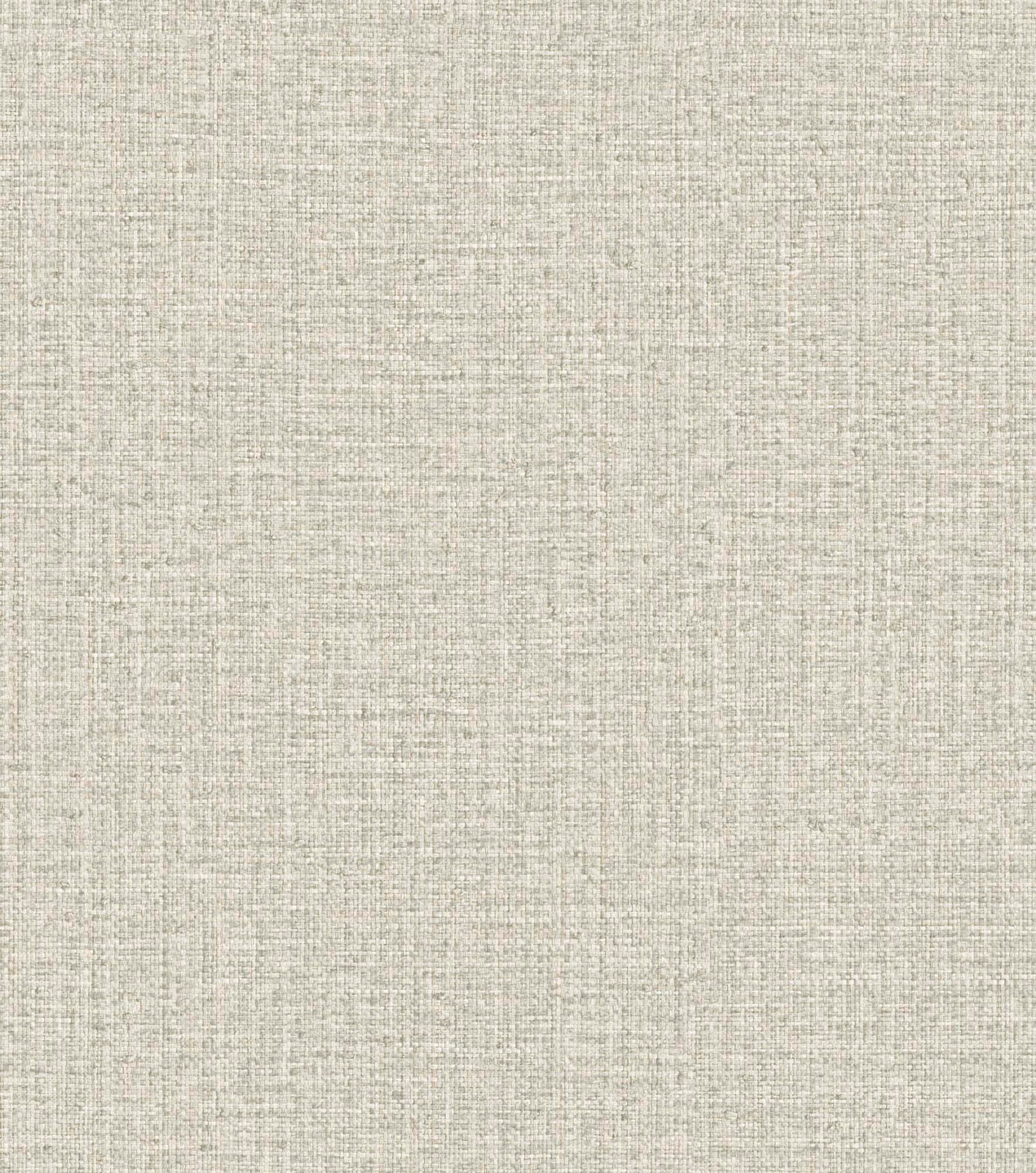 Hooked on Walls Passe Partout 2025 - 4566 Behang