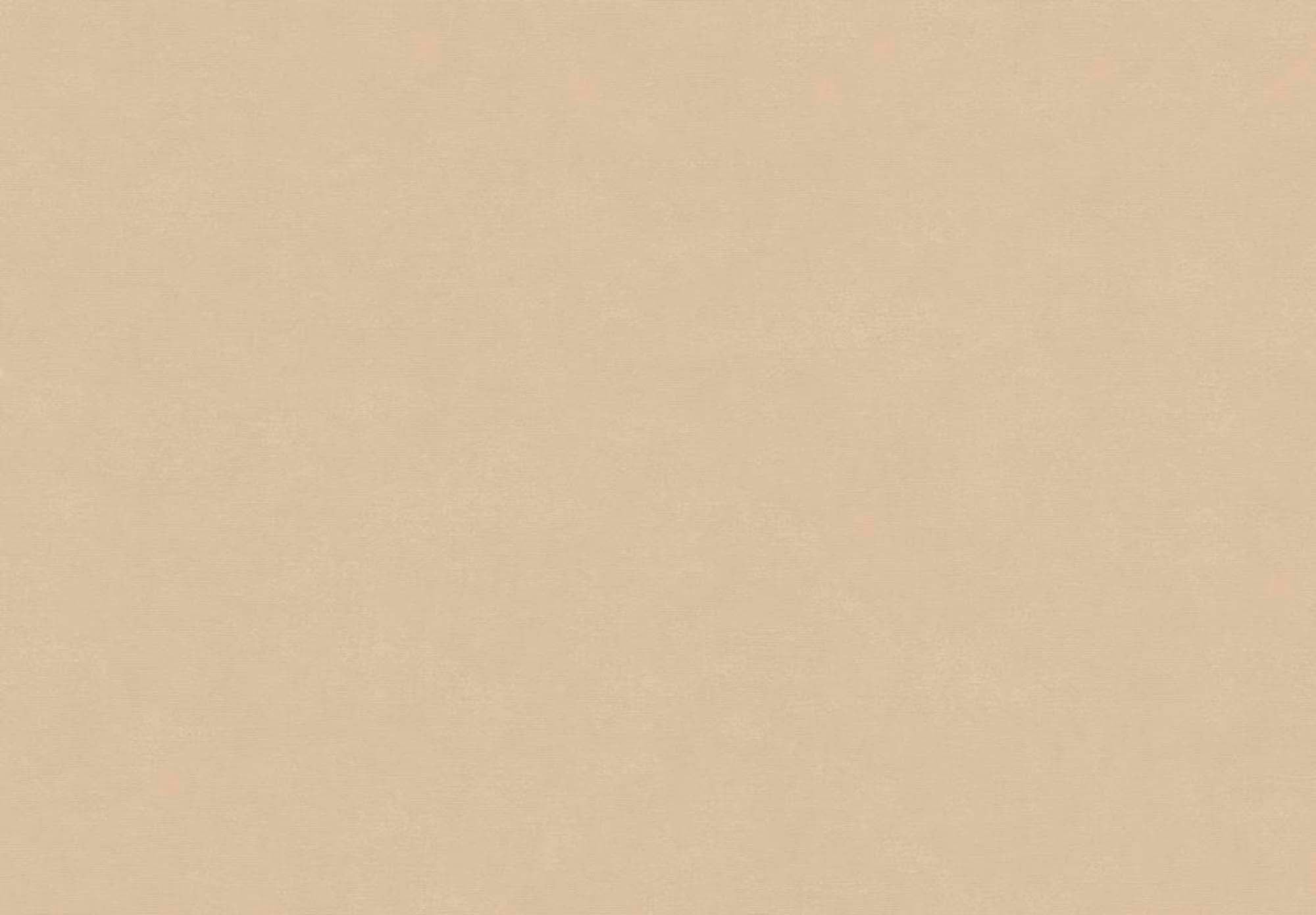 Hooked on Walls Passe Partout 2025 Bali 4493 Behang