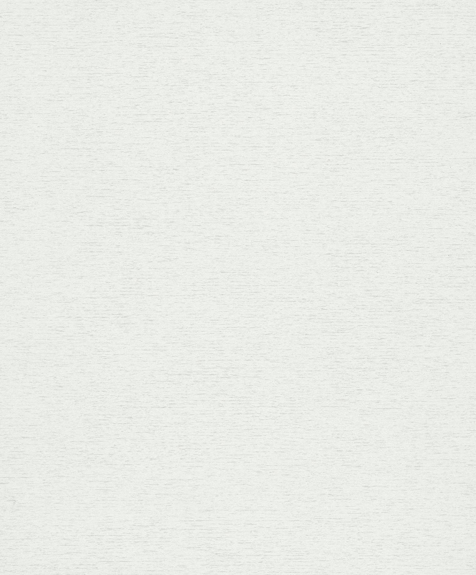 Hooked on Walls Passe Partout 2025 Travertino 4511 Behang