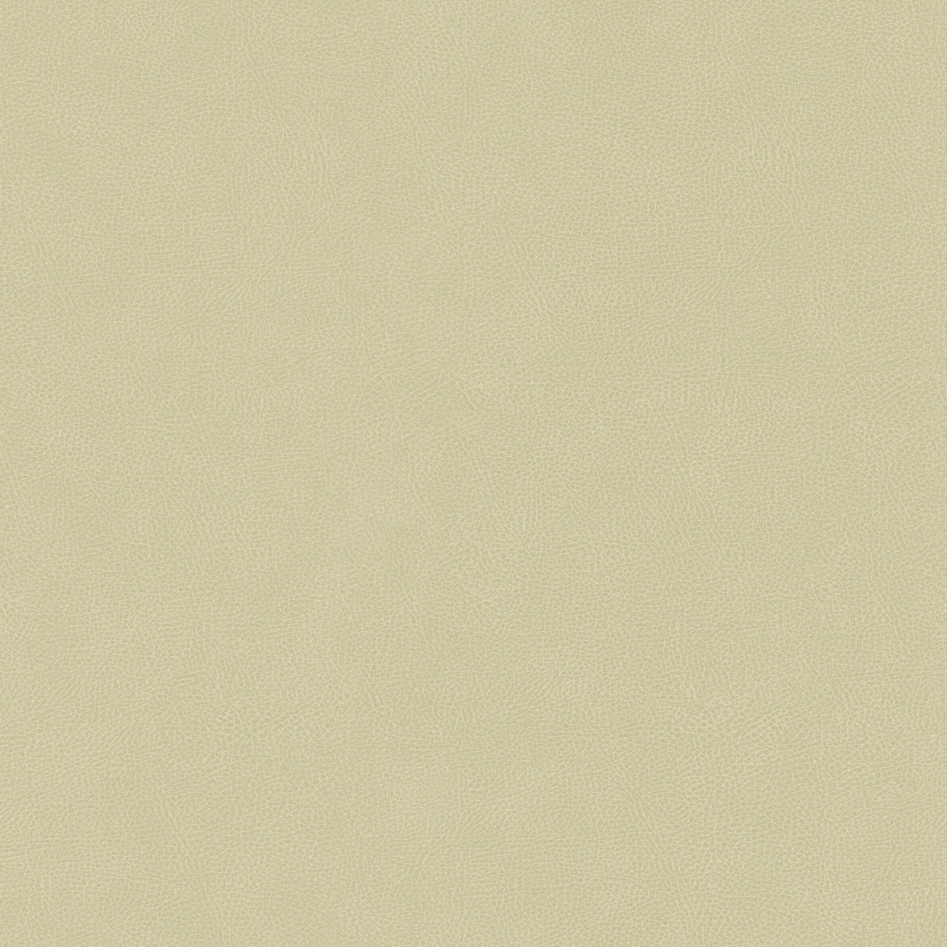 Hooked on Walls Passe Partout 2026 Casa Blanca Pelle 29753 Behang