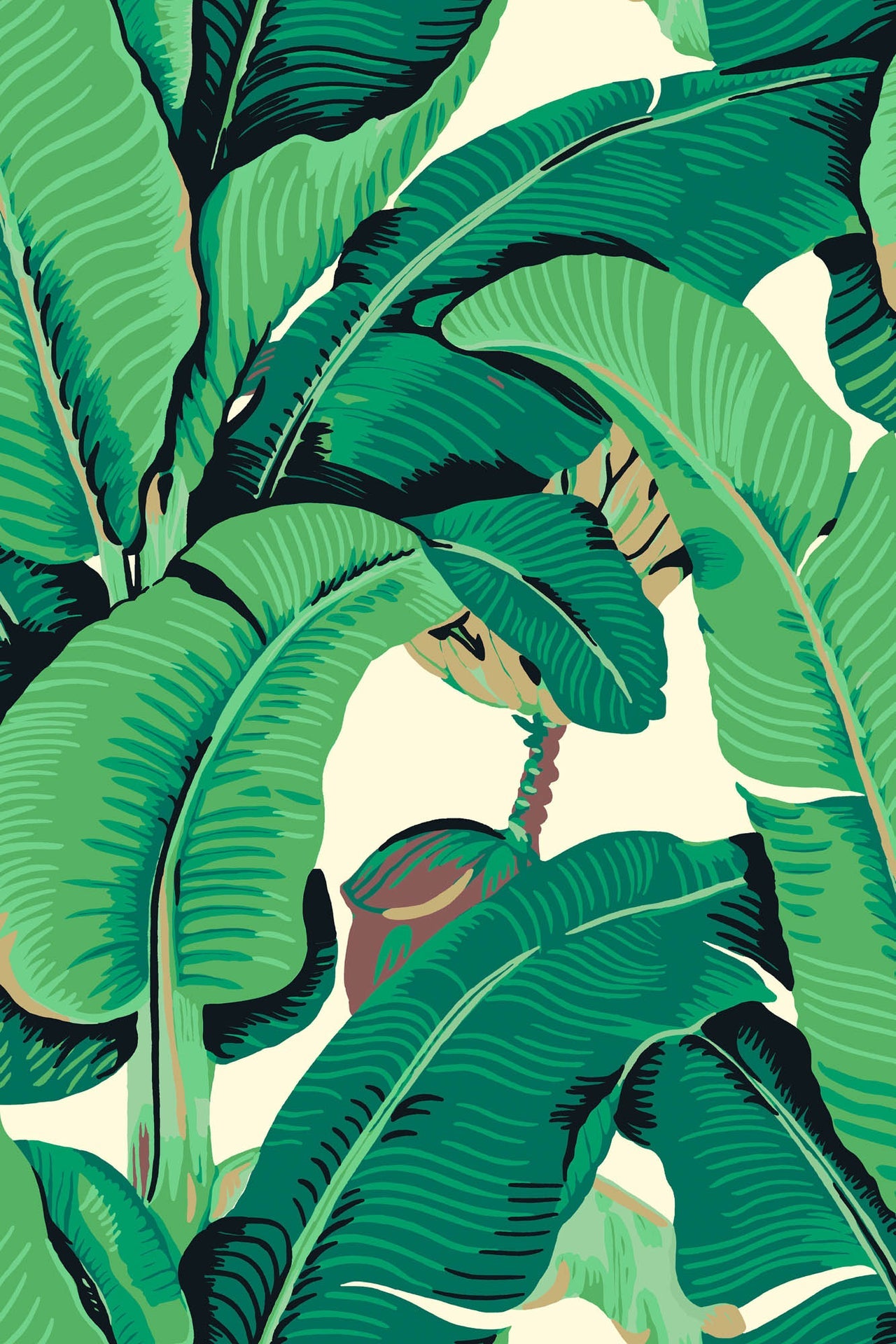 Hooked on Walls Scalamandré Hinson Palm JV26010 Behang