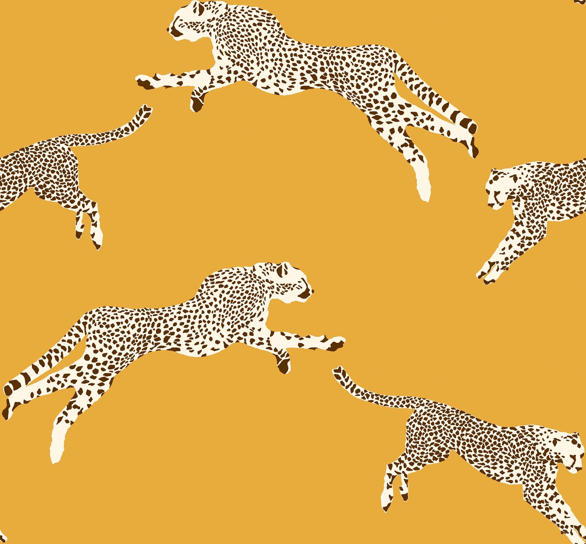 Hooked on Walls Scalamandré Leaping Cheetah JV26020 Behang