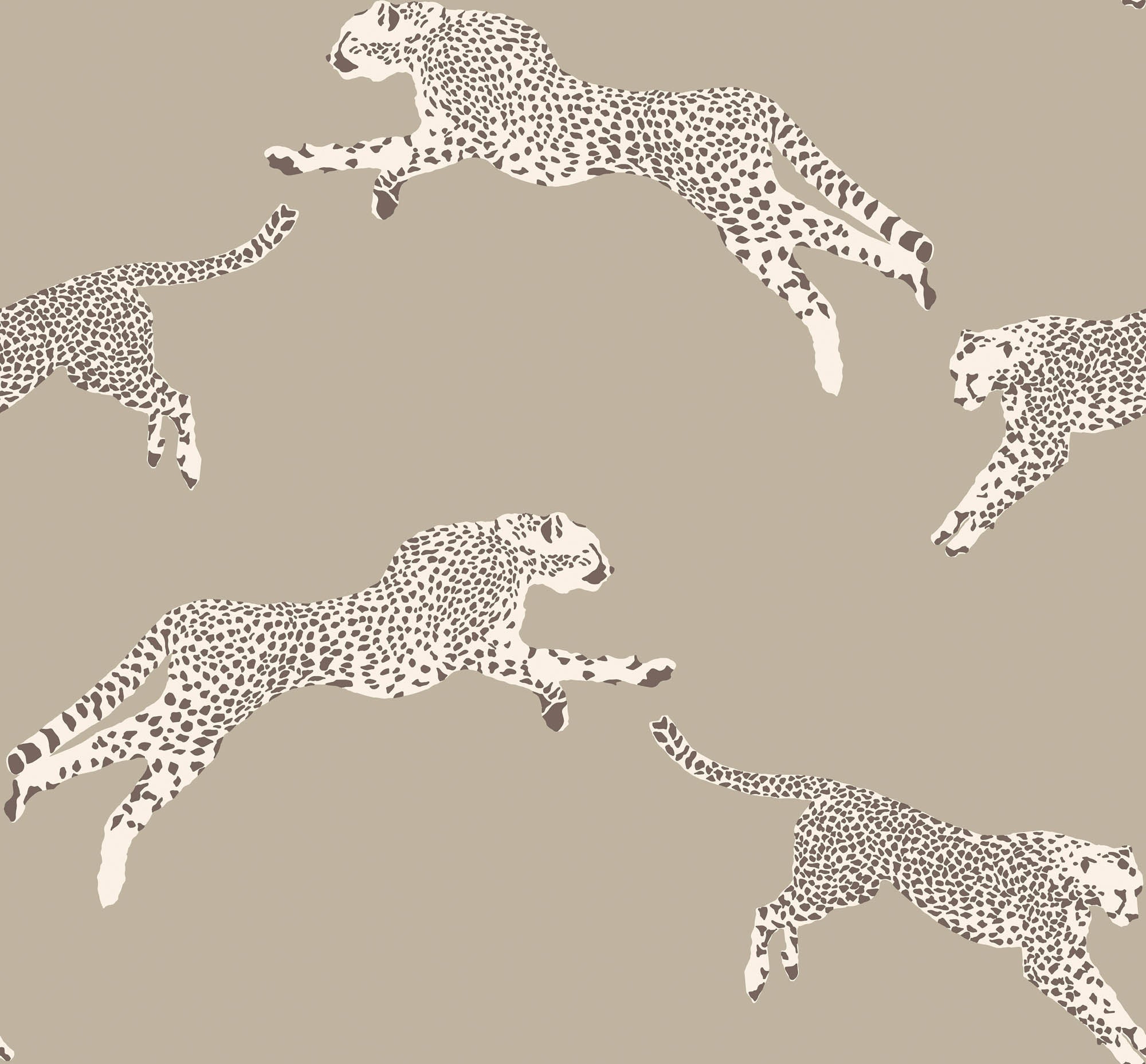 Hooked on Walls Scalamandré Leaping Cheetah JV26021 Behang
