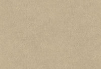 Hooked on Walls Tahiti Leather Plain TA25021