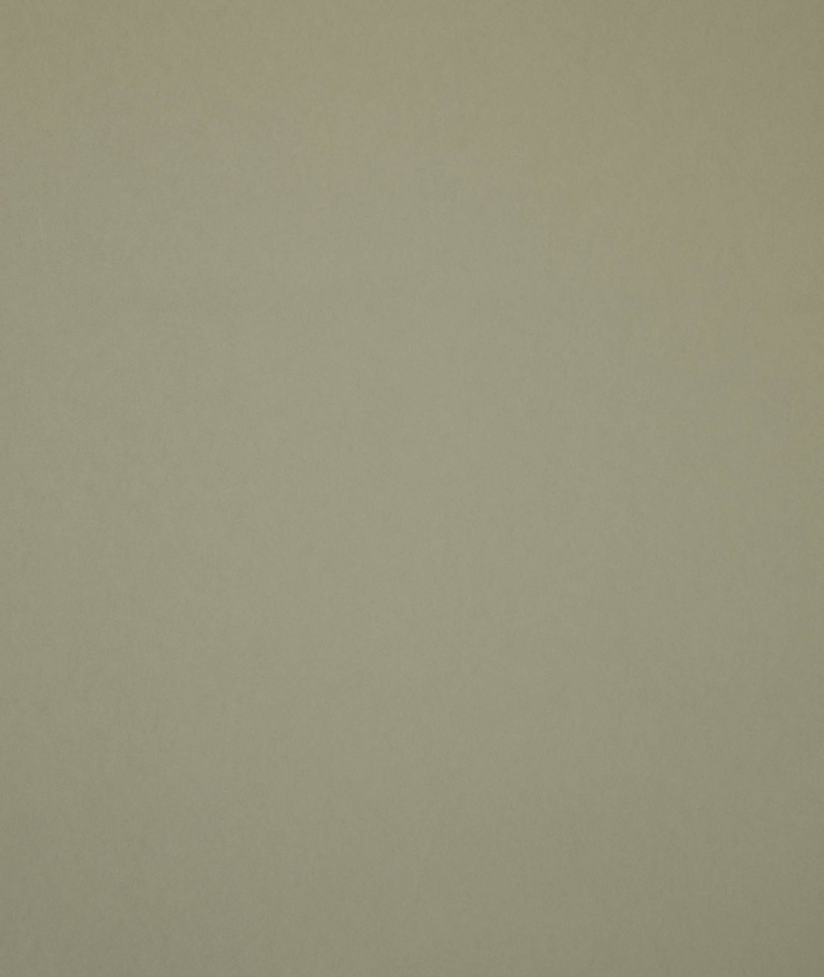 Hooked on Walls Young Traditionals Muro 27851 Behang