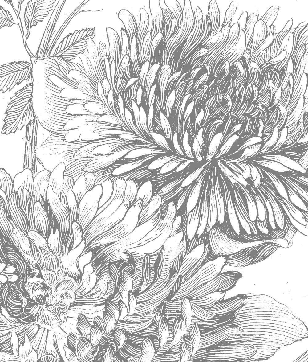 KEK Amsterdam Engraved Flowers WP-330 - 4 Sheets Behang