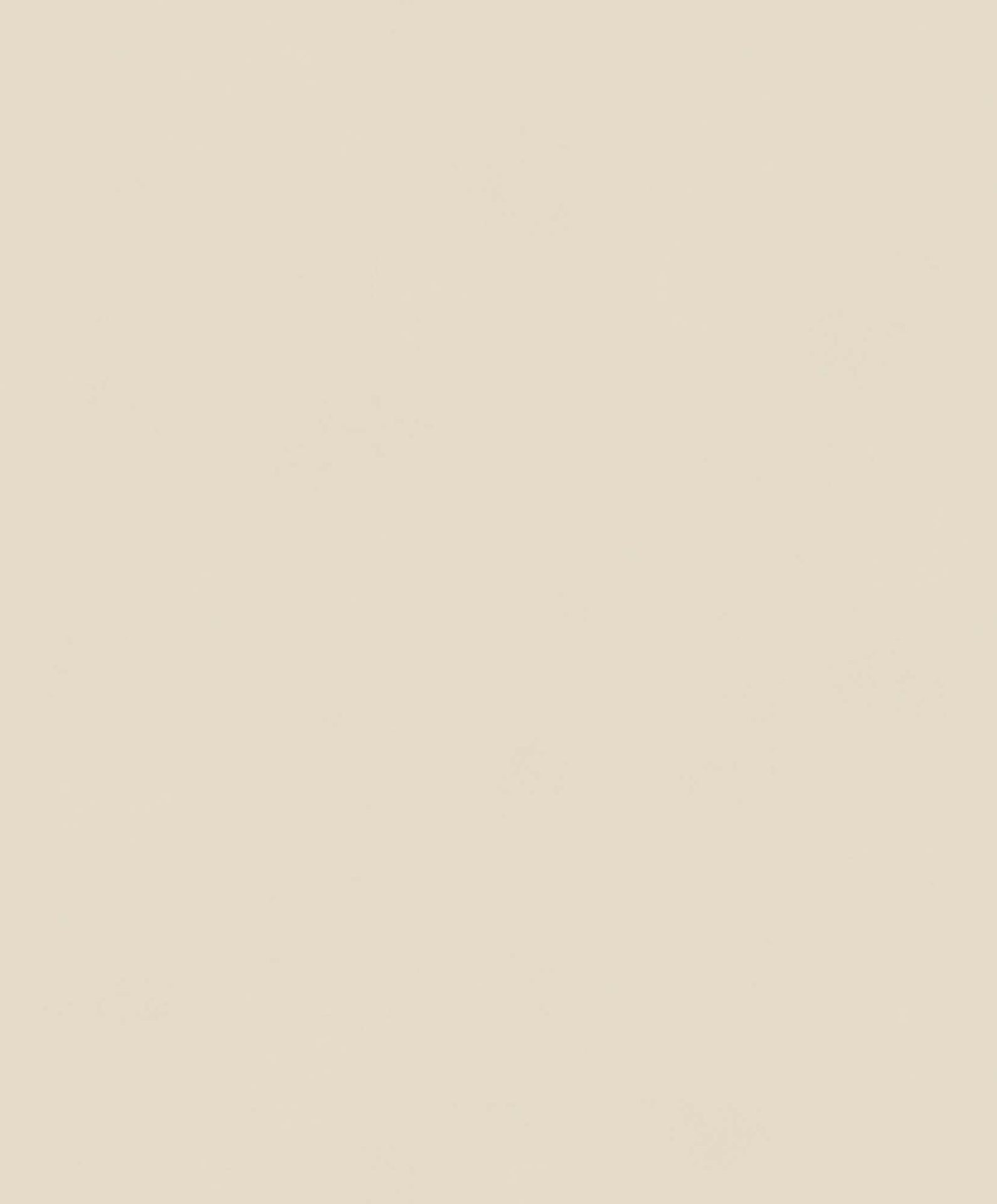Khrôma Colorythm Color Cement BLONE1007 Behang