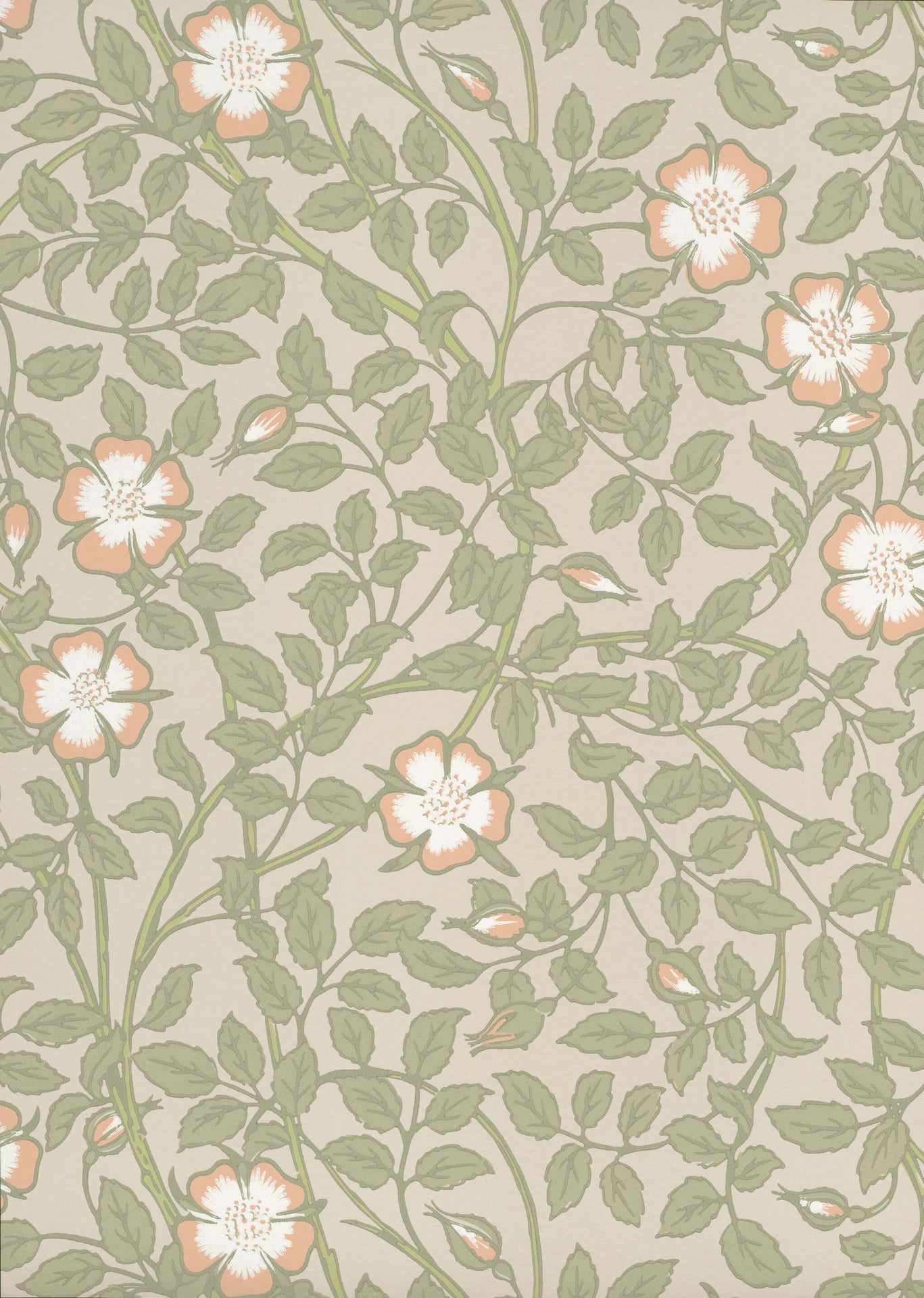 Little Green National Trust III Briar Rose Green Mist Behang