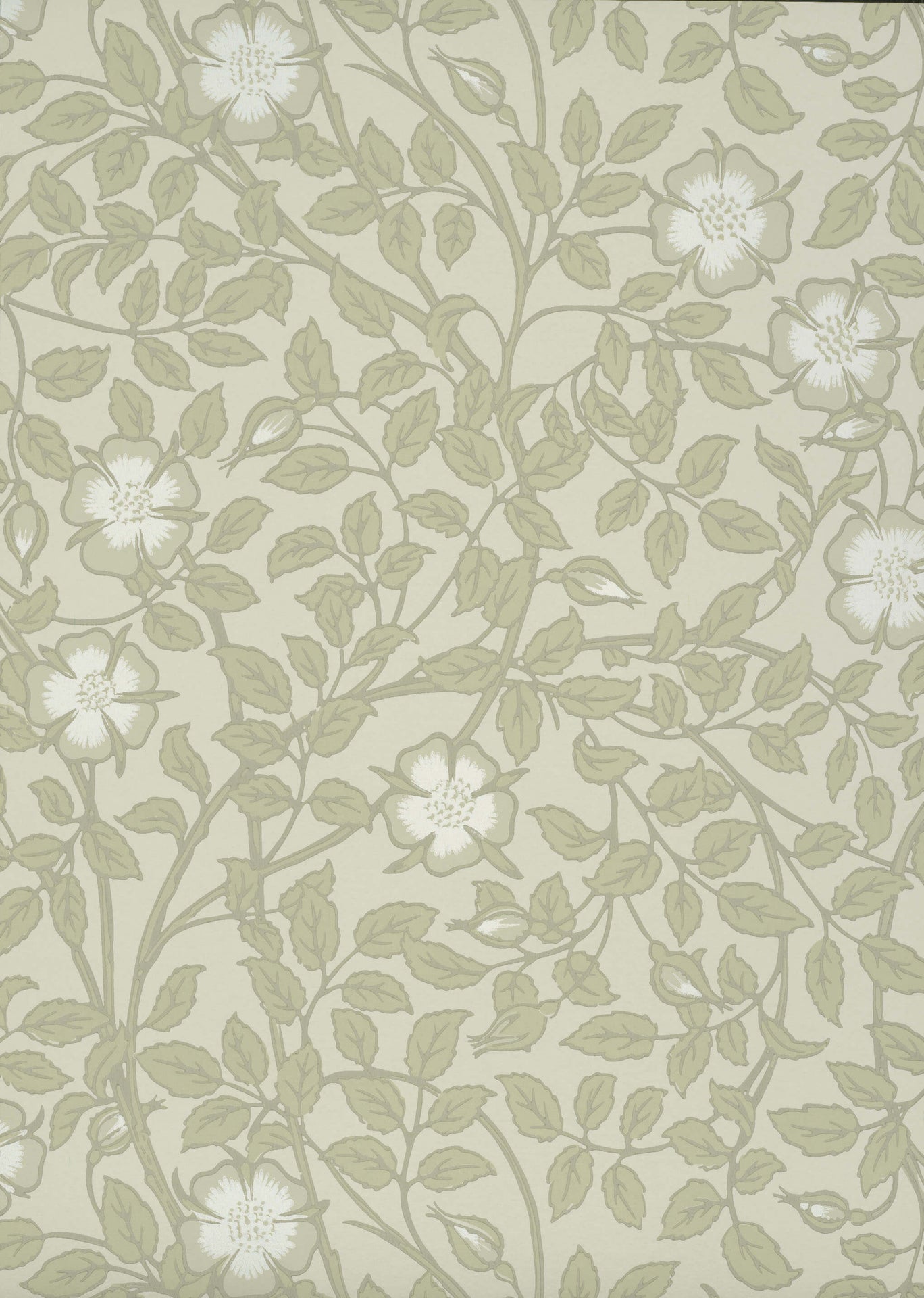 Little Green National Trust III Briar Rose Green Stone Behang