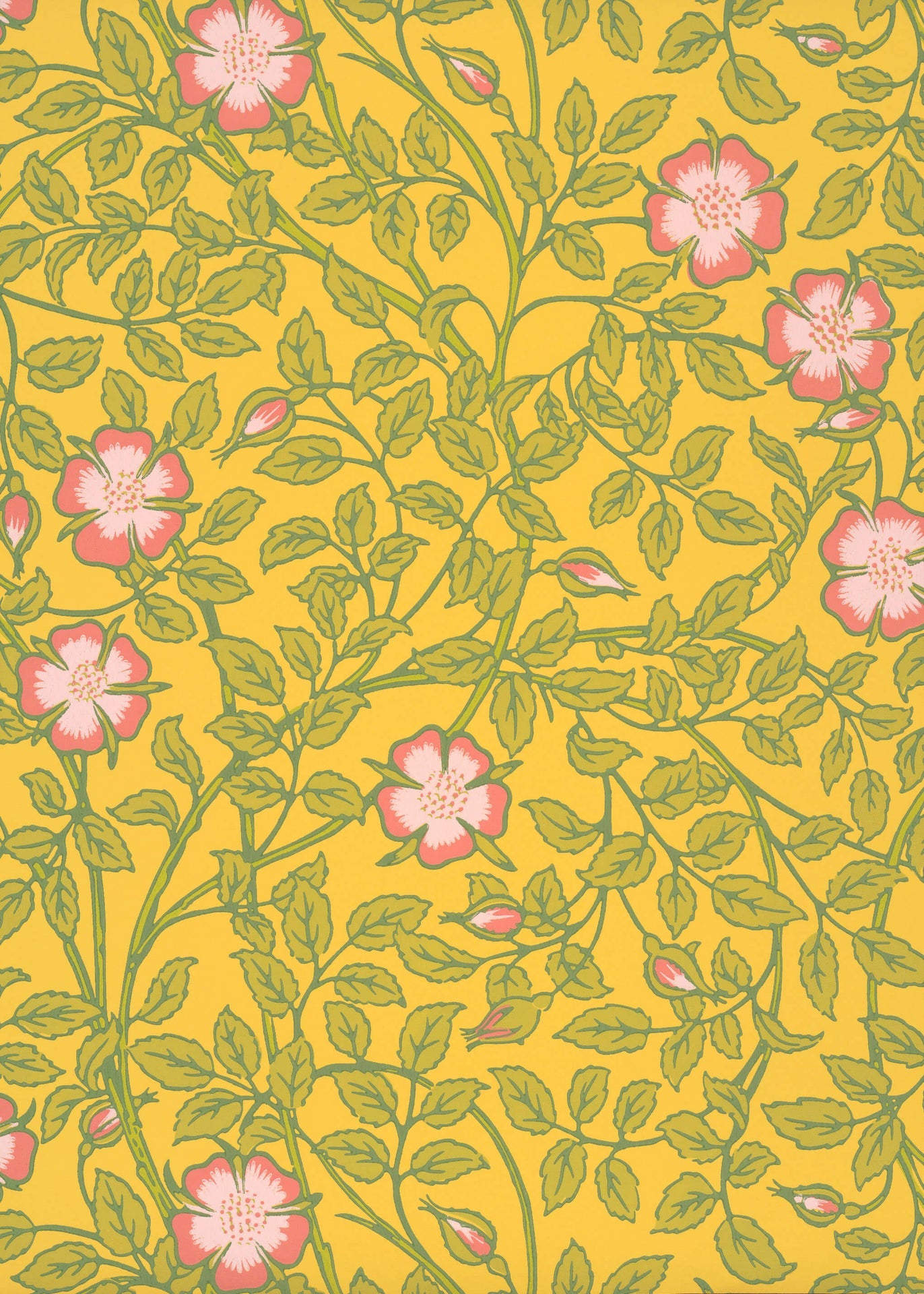 Little Green National Trust III Briar Rose Indian Yellow Behang