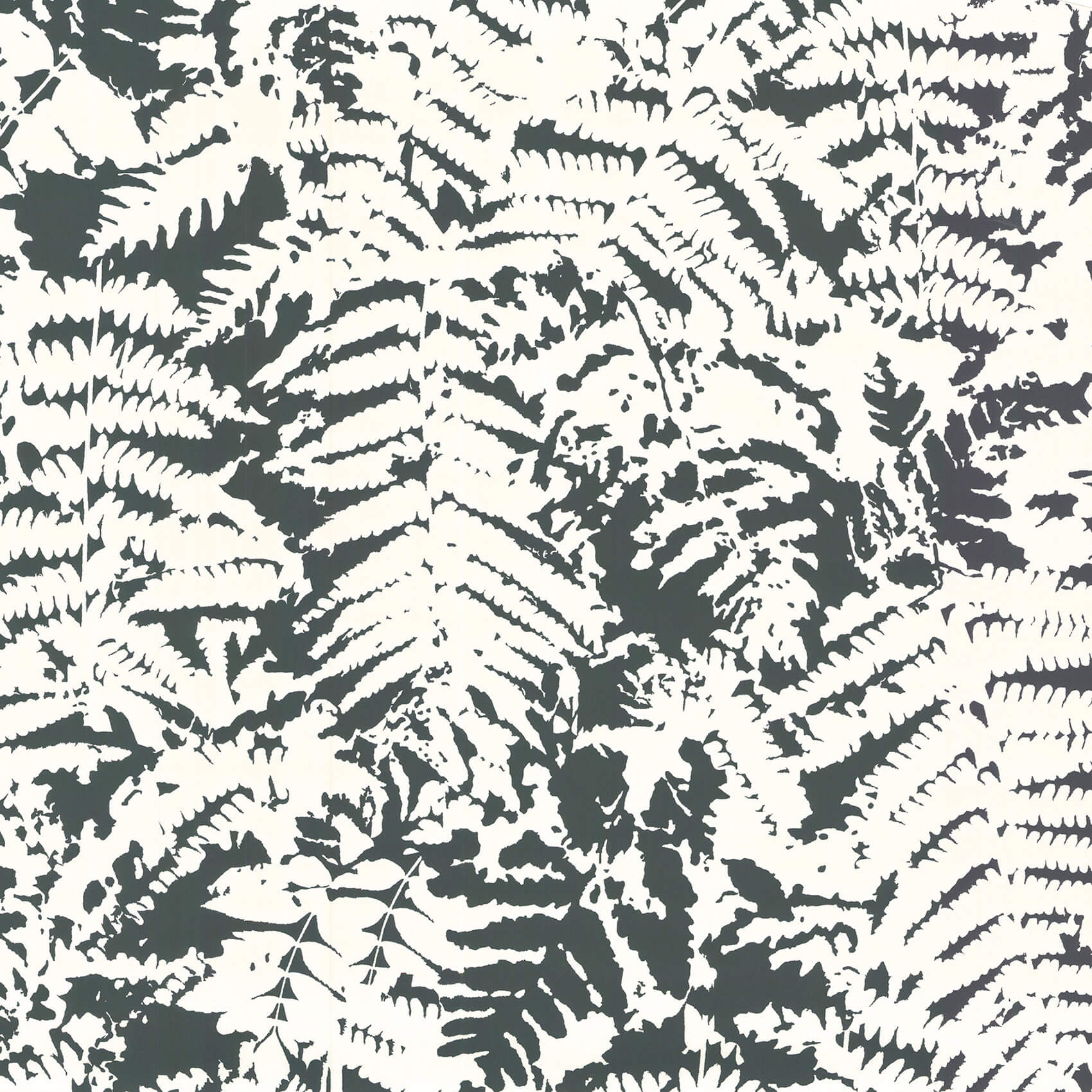 Little Green Retrospective Papers Fern Off Black Behang