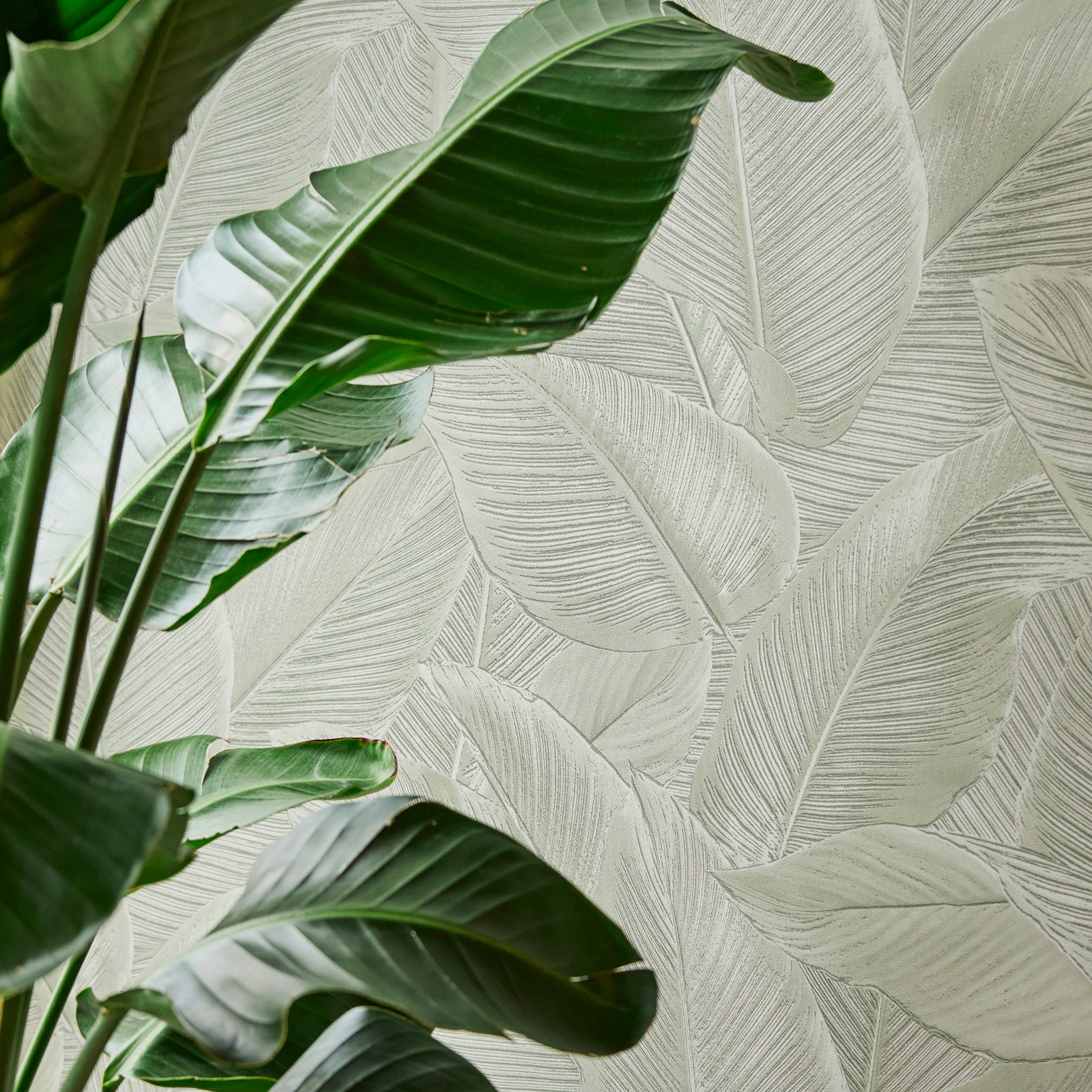 Riviera Maison Ubud 221172 Behang