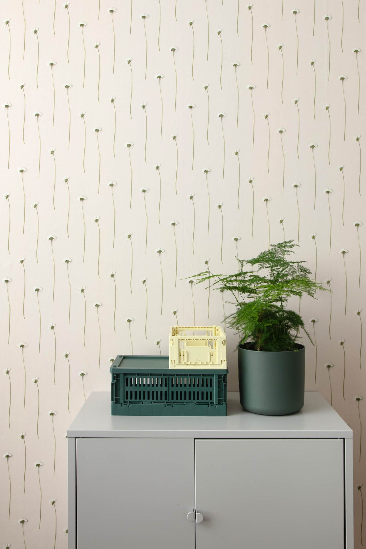 Studio Ditte Madeliefjes Behang