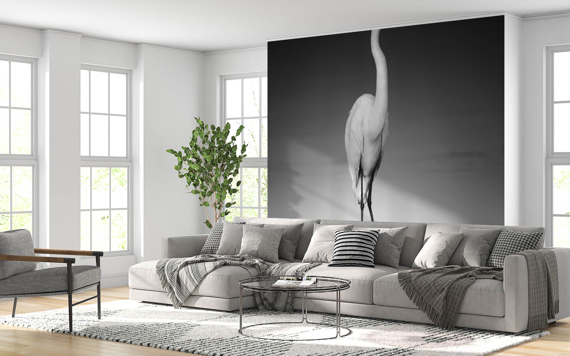 Héron cendré - LW00207