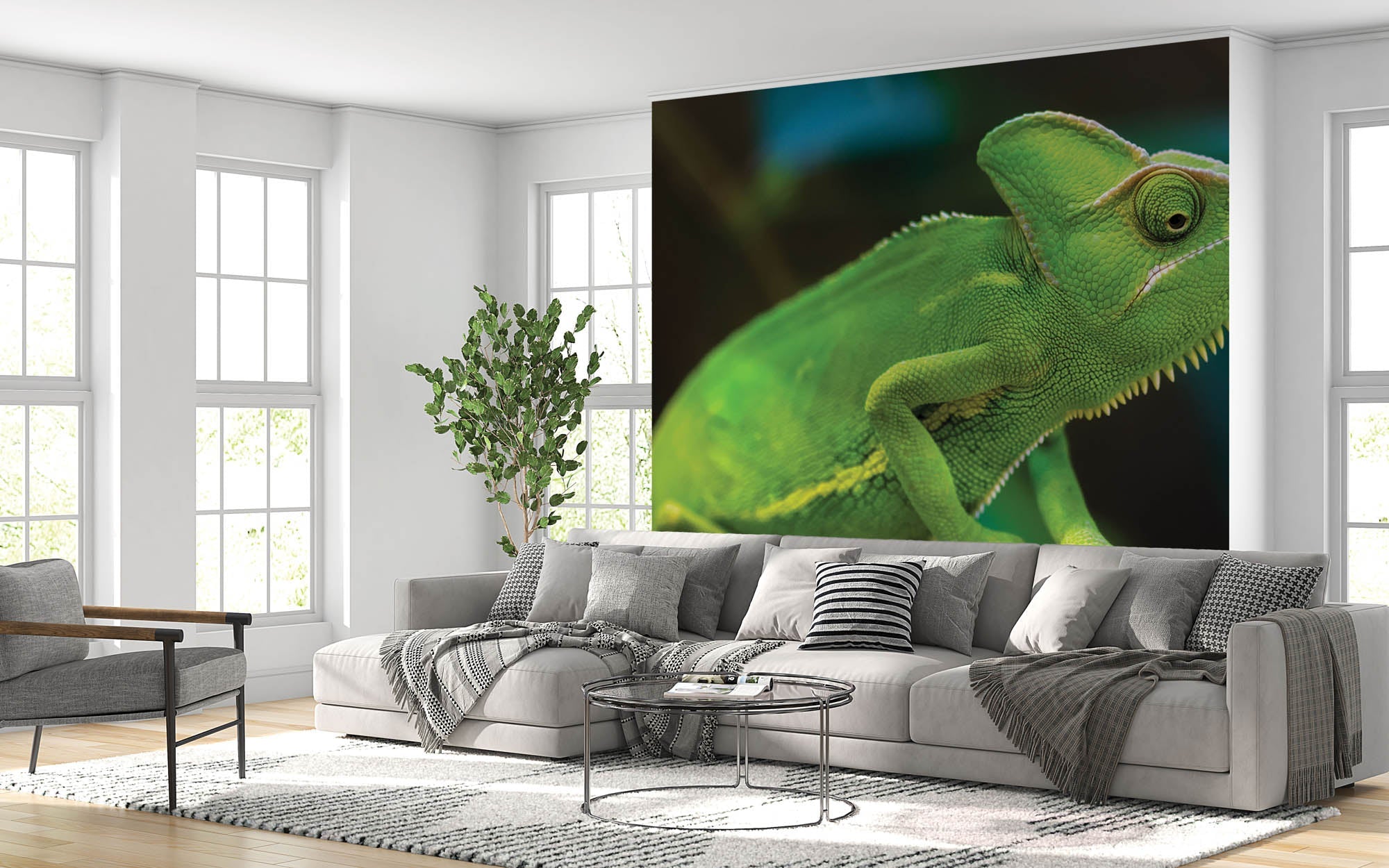 Caméléon sur une branche - LW00157