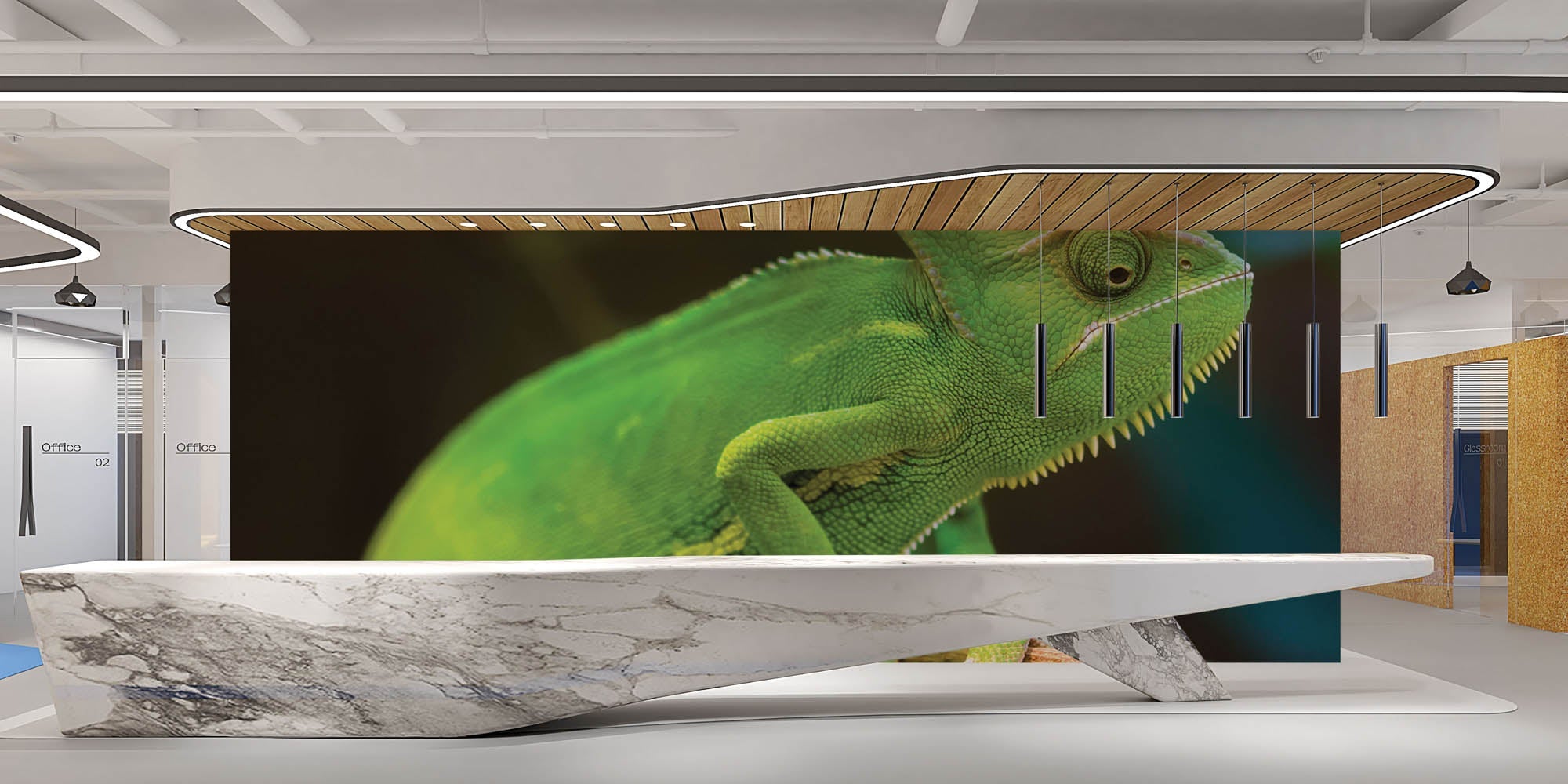 Caméléon sur une branche - LW00157